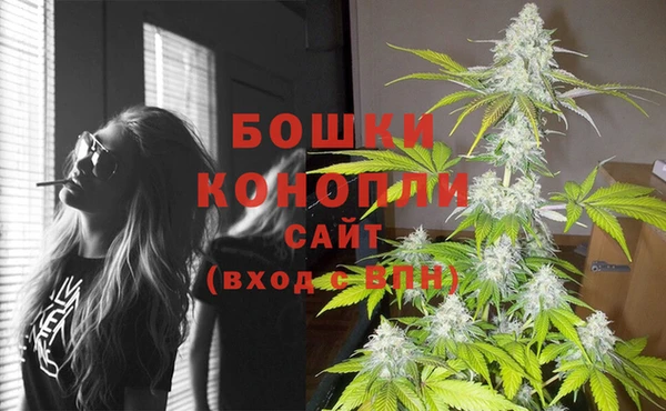 СК Богородицк