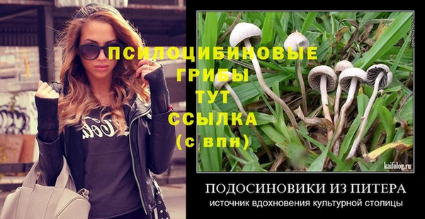 PSILOCYBIN Богородск