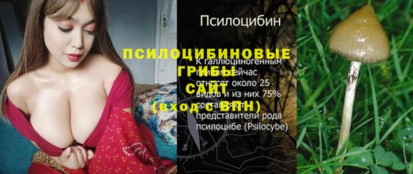 PSILOCYBIN Богородск